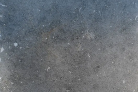 Casino Coins Game Assistance